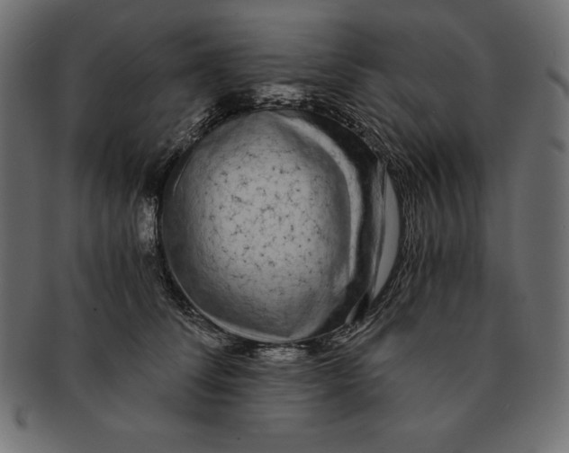 X0000091680708200709201239