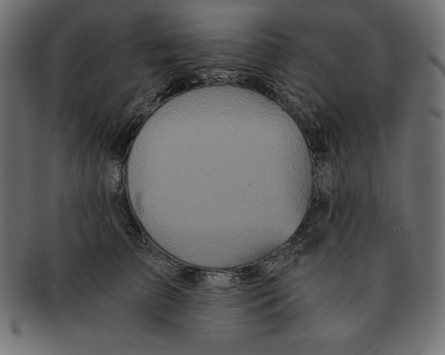 X0000091680709200709201239