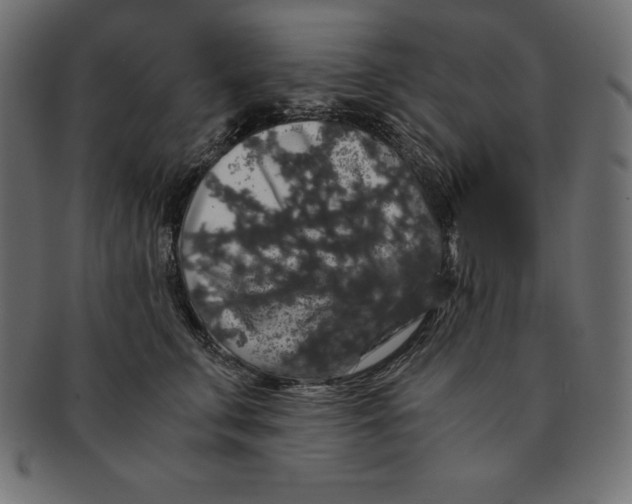 X0000091680711200709201239