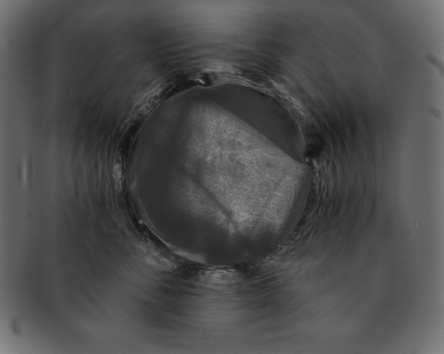 X0000091680716200709201239