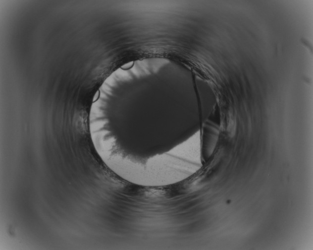 X0000091680718200709201239