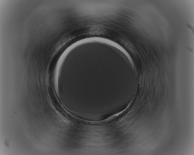 X0000091680722200709201238