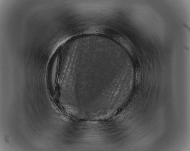 X0000091680724200709201238