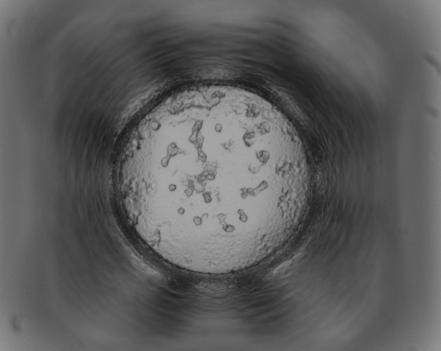 X0000091680725200709201238