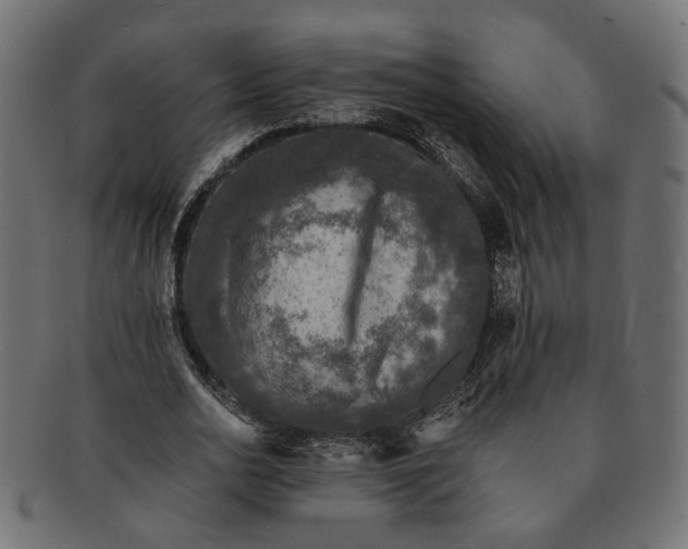 X0000091680726200709201238