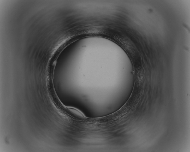 X0000091680728200709201238