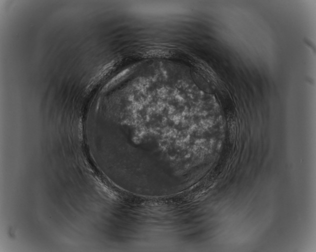 X0000091680729200709201238