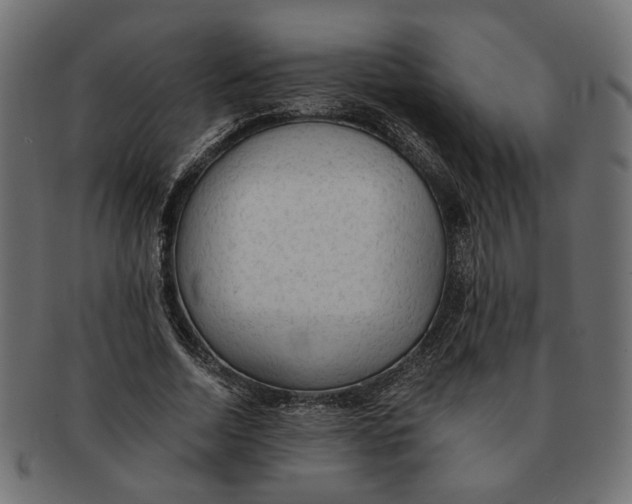 X0000091680730200709201238