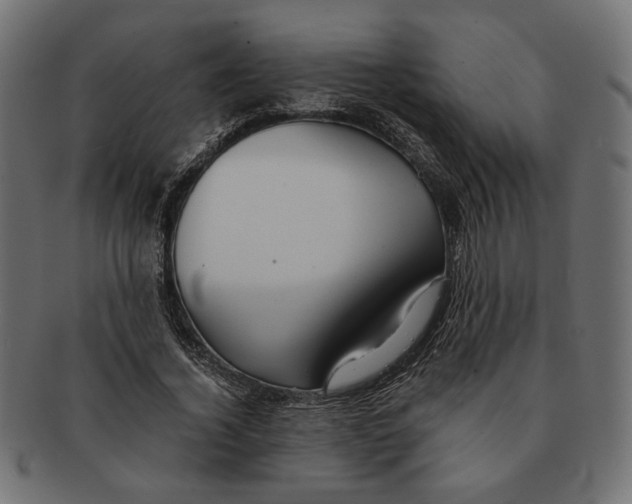 X0000091680732200709201238