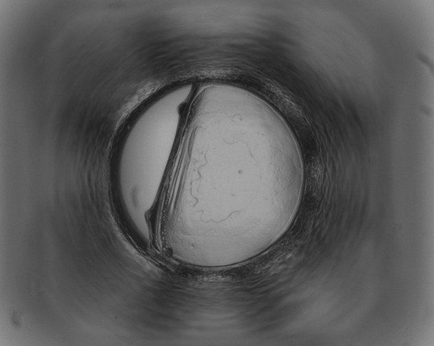 X0000091680734200709201238