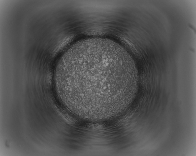 X0000091680735200709201238