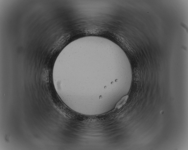 X0000091680738200709201238