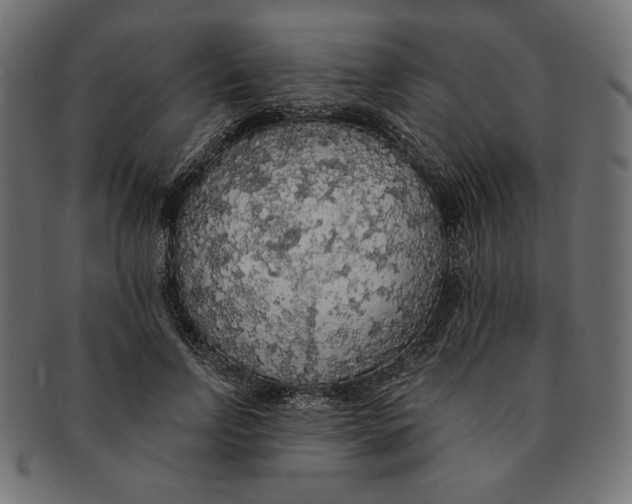 X0000091680742200709201238