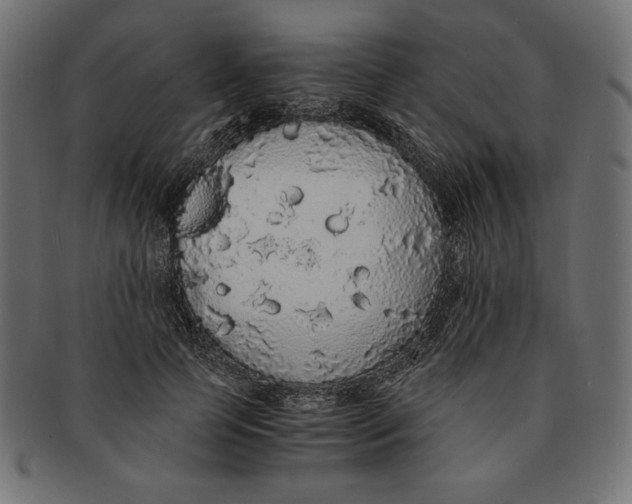 X0000091680745200709201238