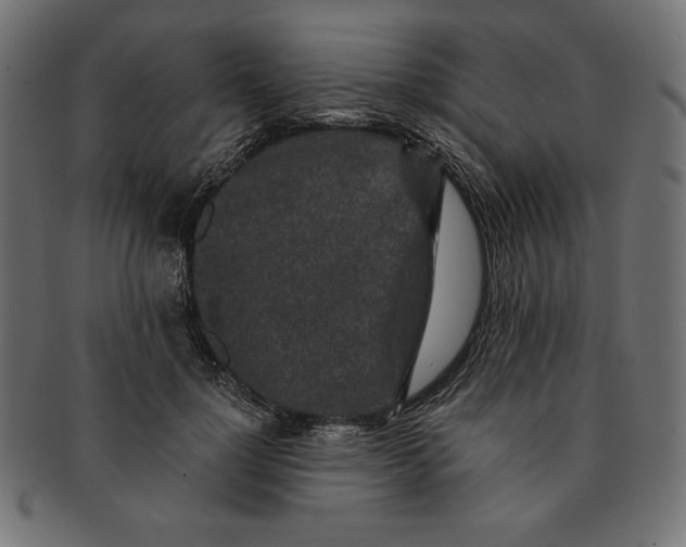 X0000091680748200709201238