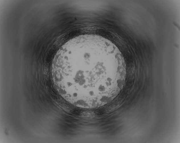 X0000091680749200709201238