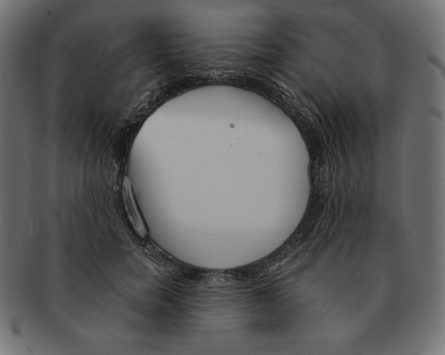 X0000091680750200709201238