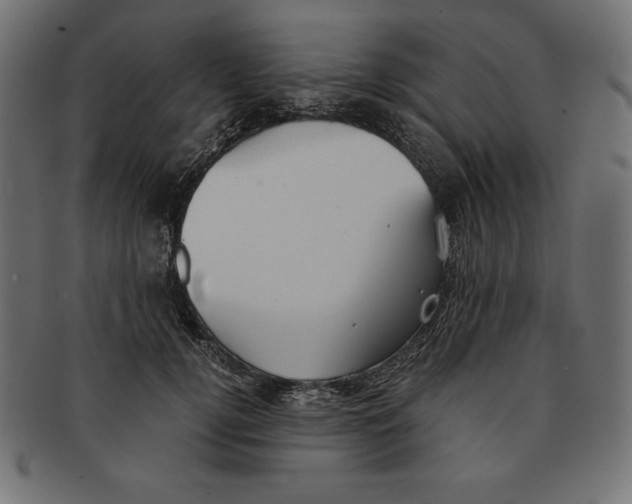 X0000091680752200709201238