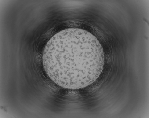 X0000091680753200709201238