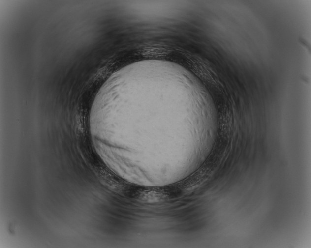 X0000091680755200709201238