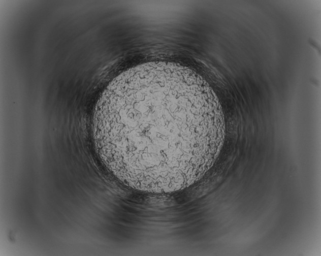 X0000091680757200709201238