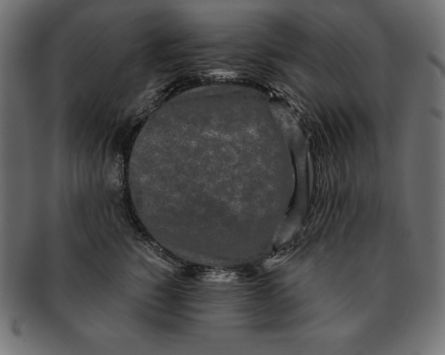 X0000091680760200709201238