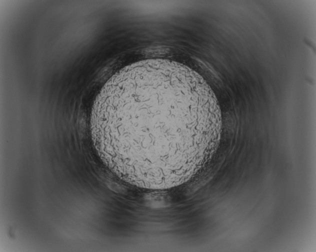 X0000091680761200709201238