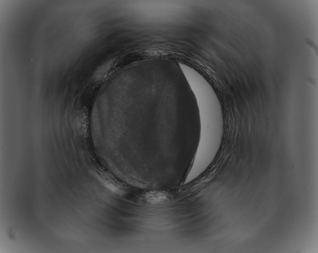 X0000091680762200709201238