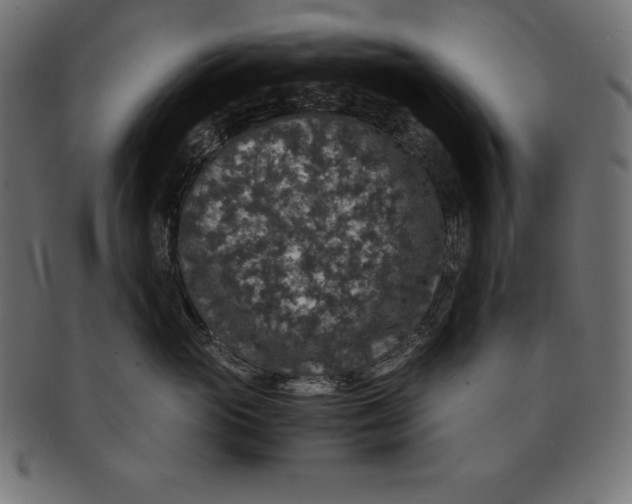 X0000091680765200709201239