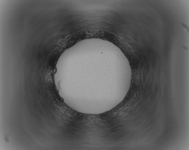 X0000091680770200709201238