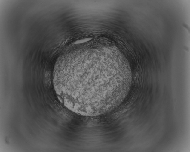 X0000091680772200709201238