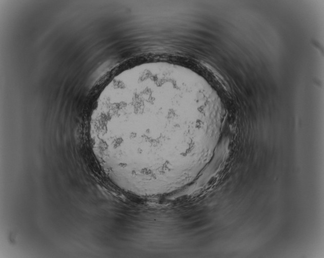 X0000091680775200709201238