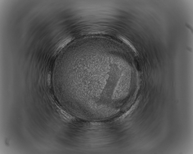 X0000091680777200709201238