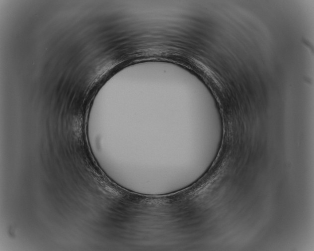 X0000091680778200709201238