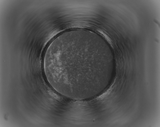 X0000091680779200709201238