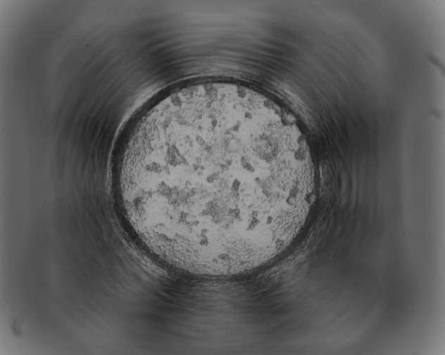 X0000091680780200709201238