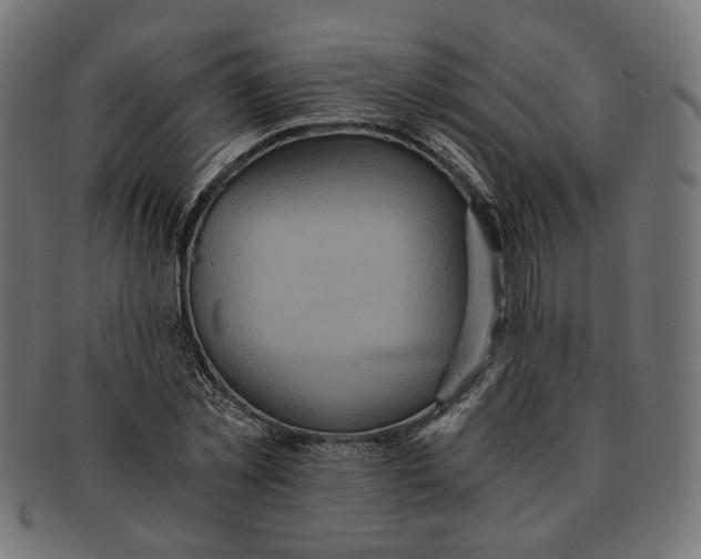 X0000091680781200709201238