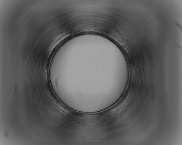 X0000091680782200709201238