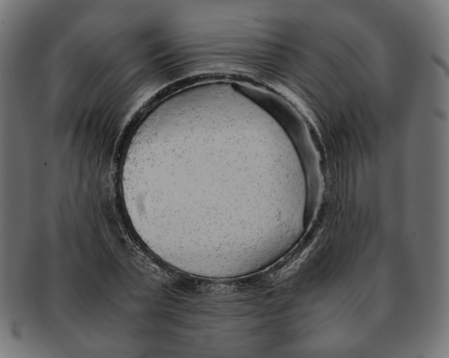 X0000091680783200709201238