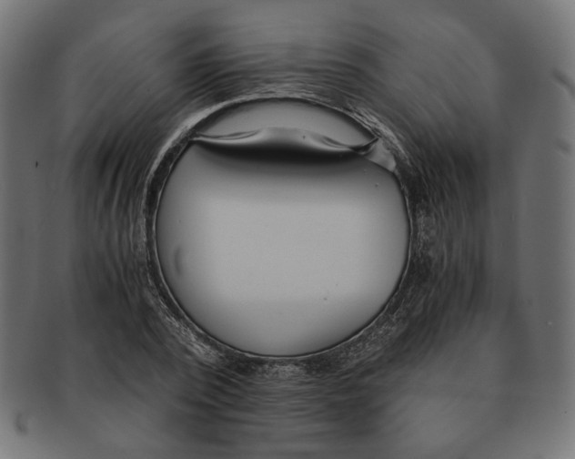 X0000091680784200709201238