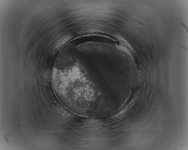 X0000091680785200709201238