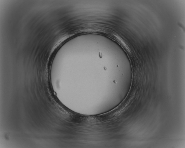 X0000091680787200709201238