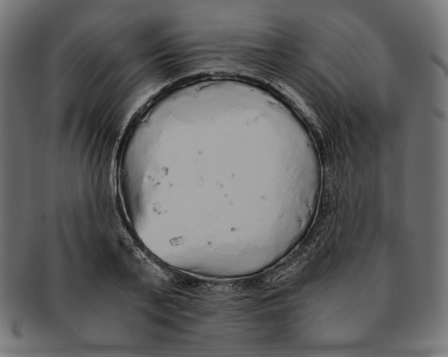 X0000091680791200709201238