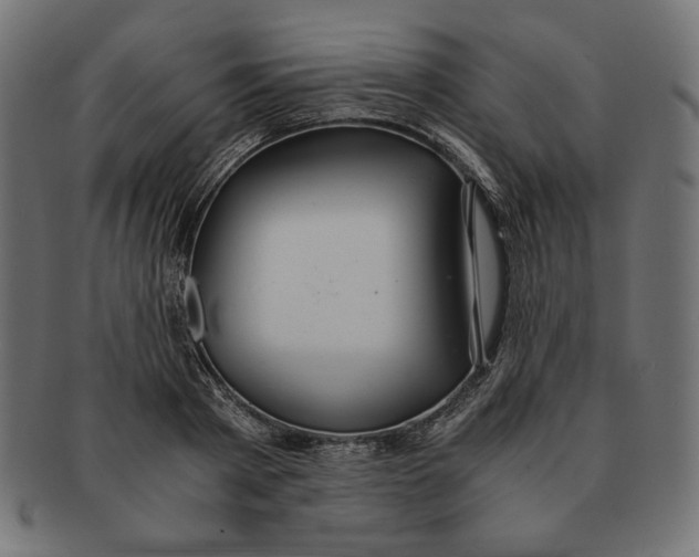 X0000091680793200709201238