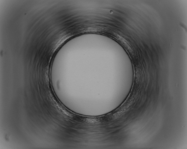 X0000091680794200709201238