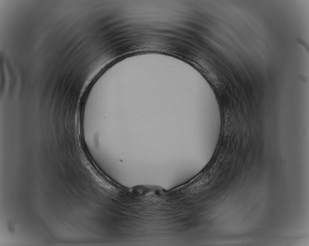 X0000091680796200709201238