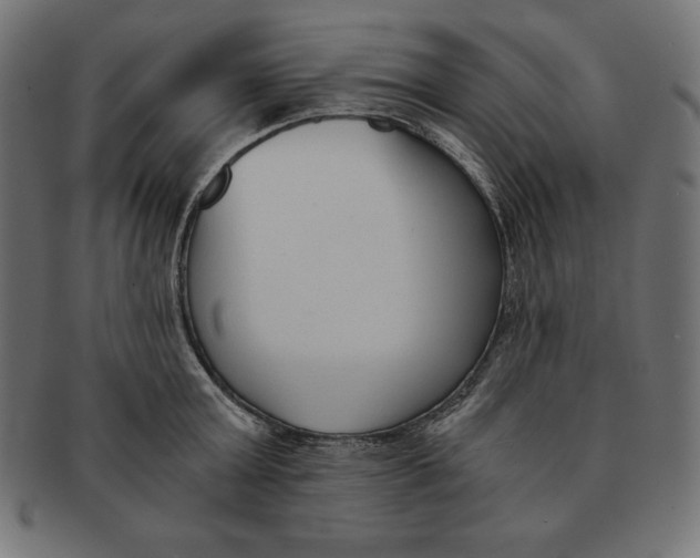 X0000091680803200709201238