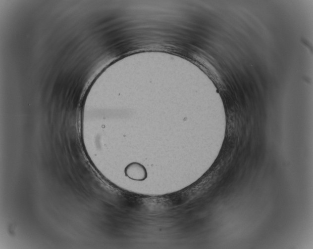 X0000091680804200709201238