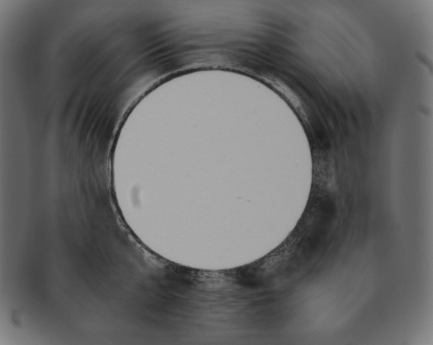 X0000091680807200709201238