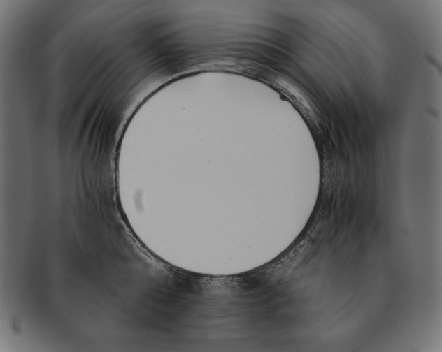 X0000091680808200709201238